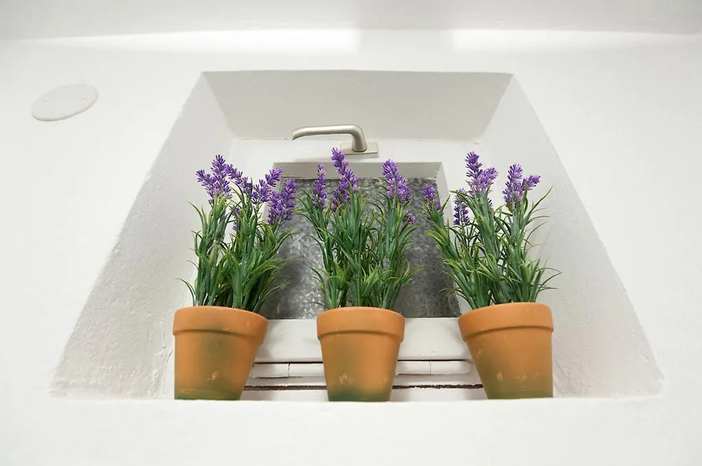 Viola Apartment Zara Croazia
